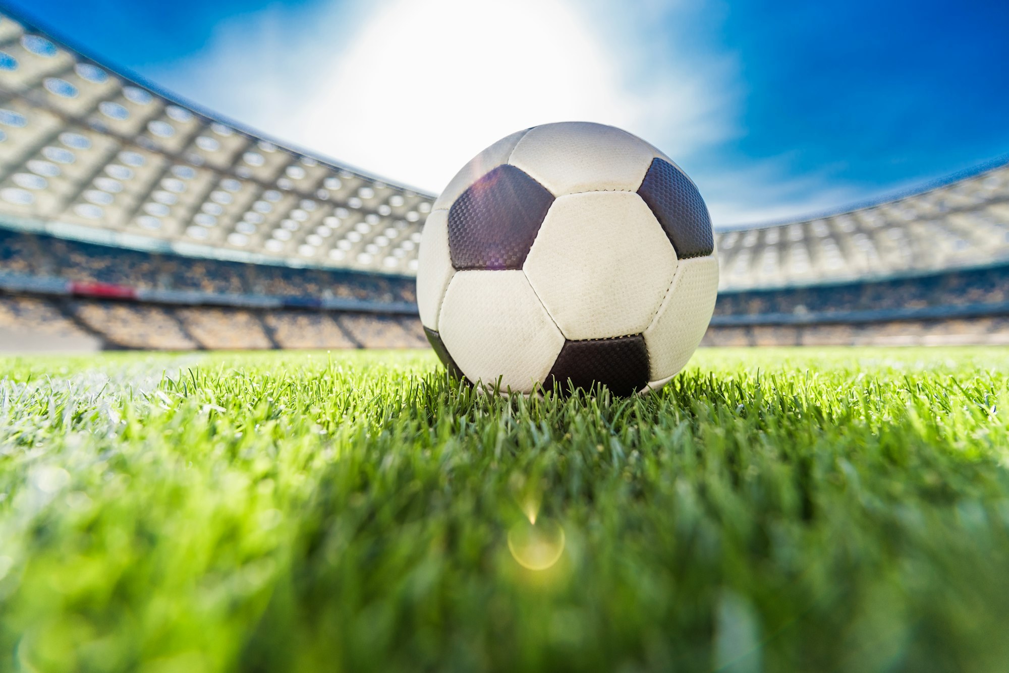 Balón de fútbol sobre el césped verde en un día soleado